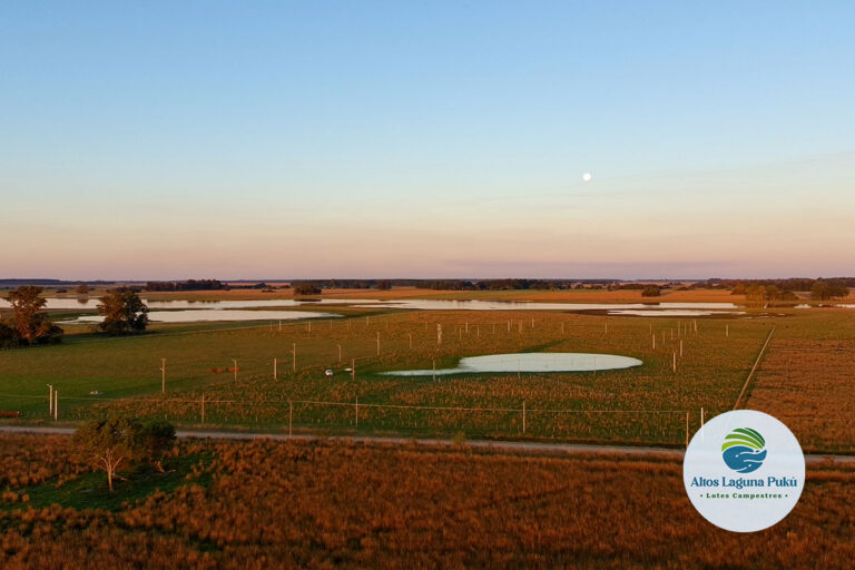 Venta de lotes en Carolina Corrientes con vistas a Laguna Pucú, entorno rural y apacible.