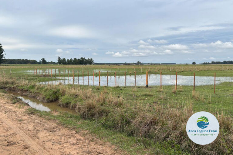 loteo_altos_de_la_pucu_tulotetulugar_07