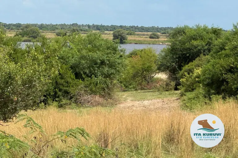 loteo_ita_kuruvi_tulotetulugar_07