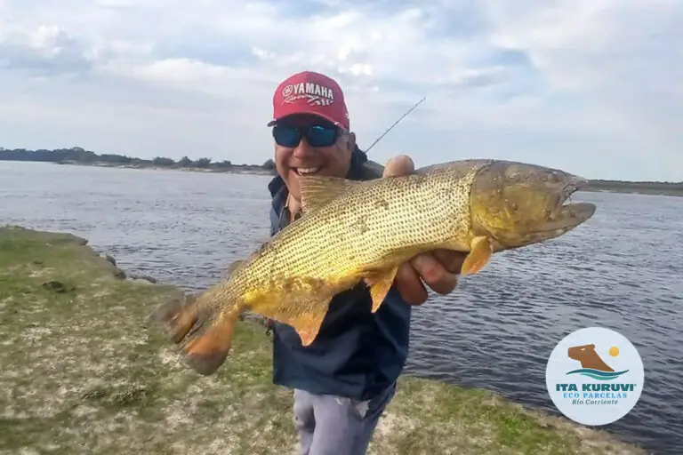 loteo_ita_kuruvi_tulotetulugar_13