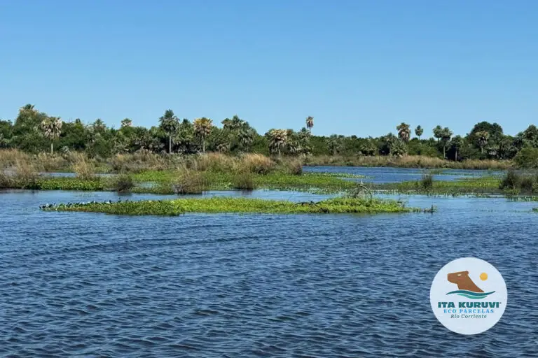 loteo_ita_kuruvi_tulotetulugar_14