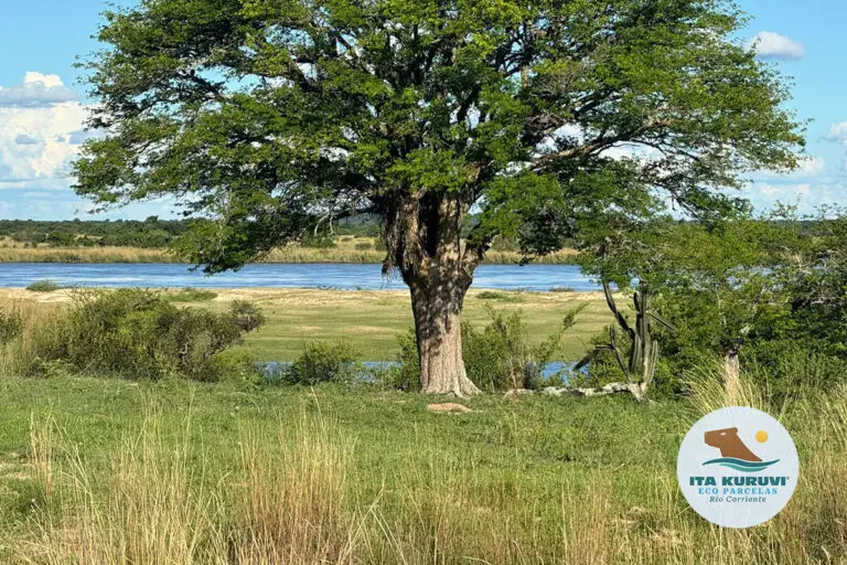 loteo_ita_kuruvi_tulotetulugar_16