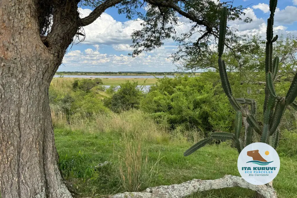 Lotes rurales en contacto con la naturaleza en venta sobre río corriente, Goya, Corrientes Argentina.