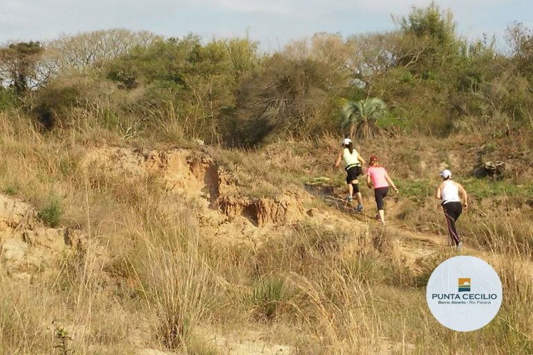 loteo_punta_cecilio_tulotetulugar_05