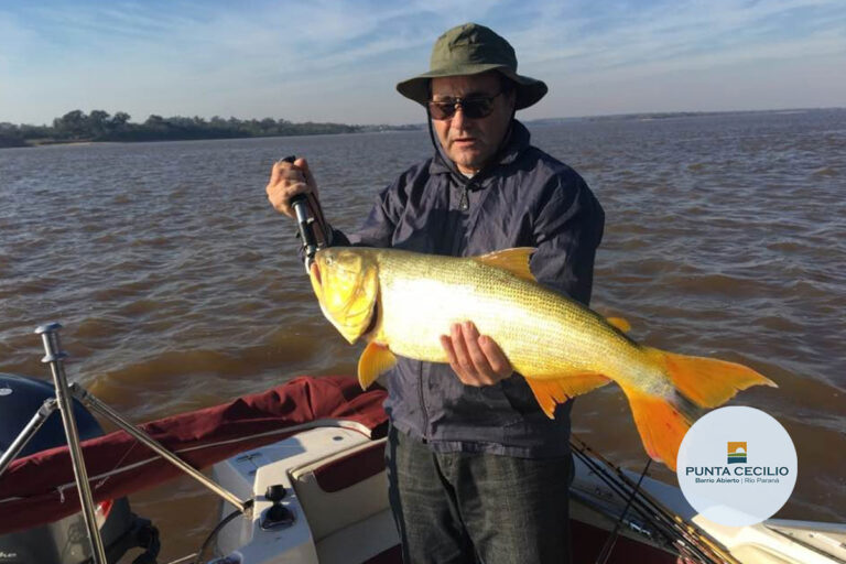 loteo_punta_cecilio_tulotetulugar_13